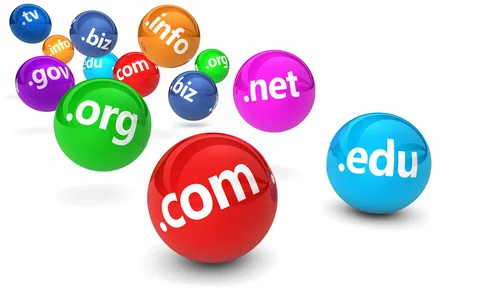 domain name registration